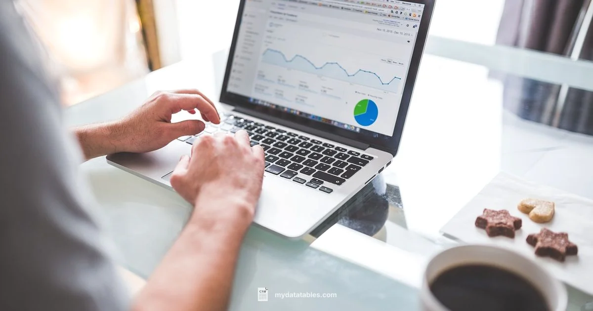 CSV Basics - MyDataTables