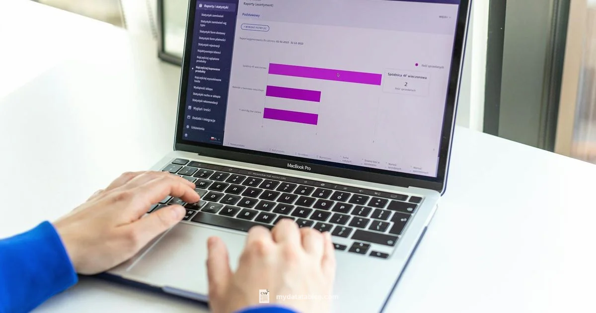 CSV in Excel - MyDataTables