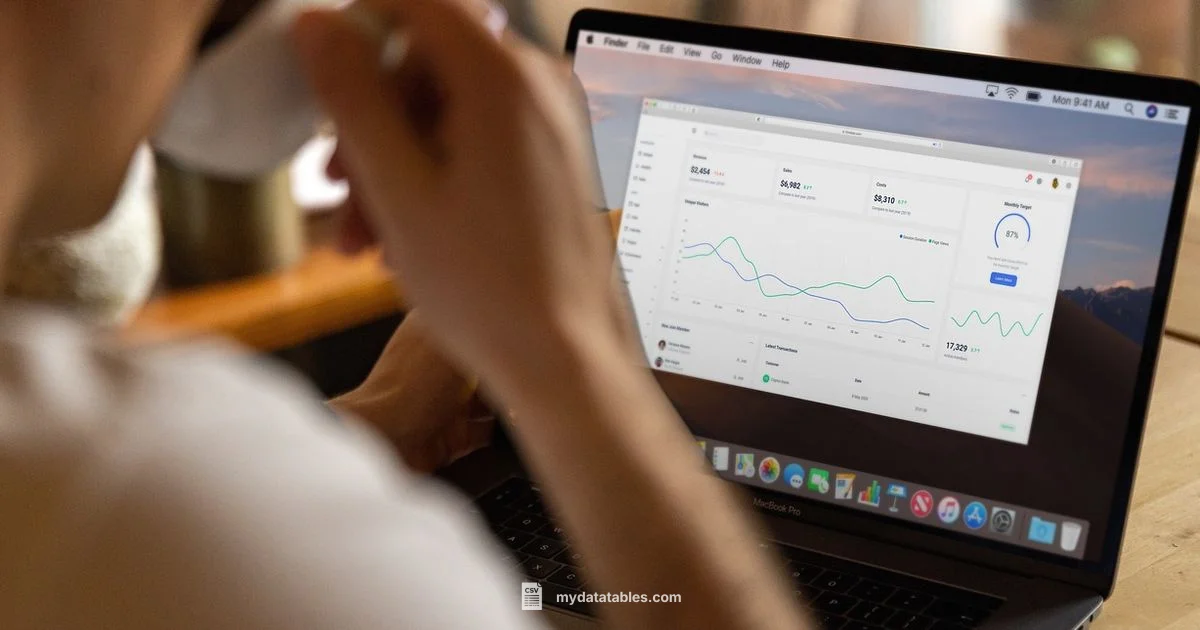 CSV Data Analysis Guide CSV Data Analysis Guide - MyDataTables