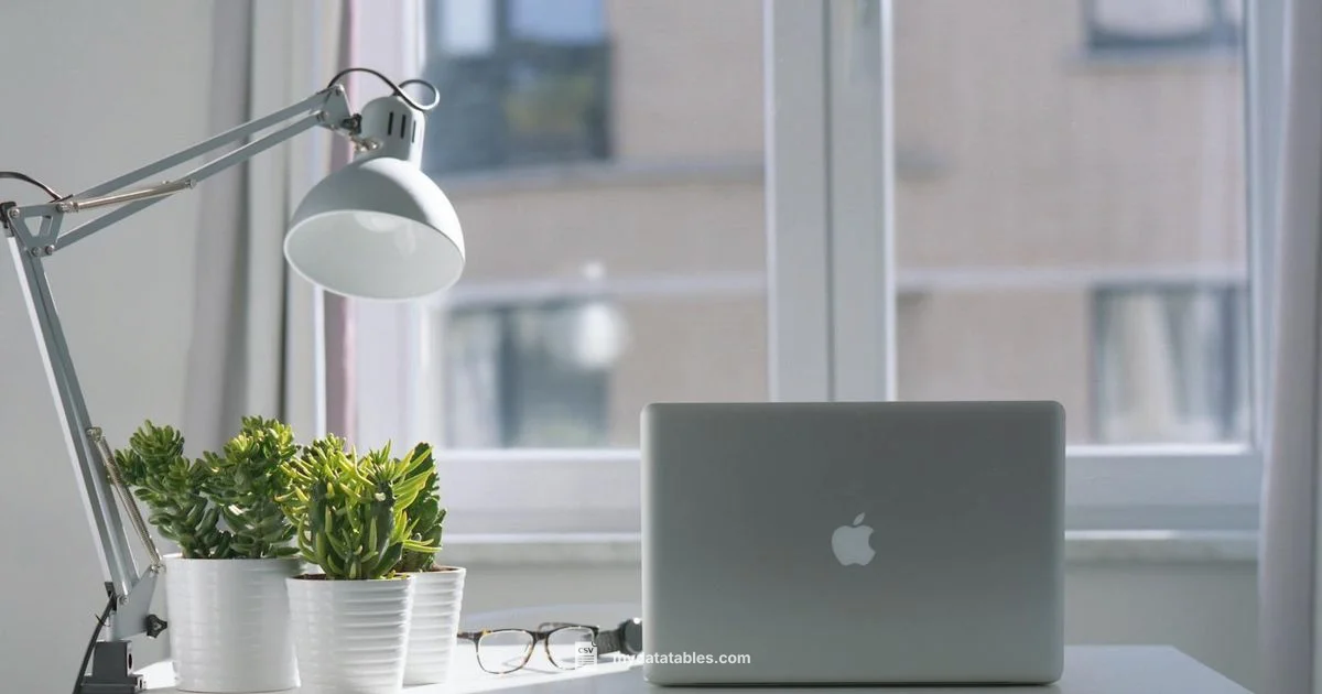 CSV Opener Essentials CSV Opener Essentials - MyDataTables