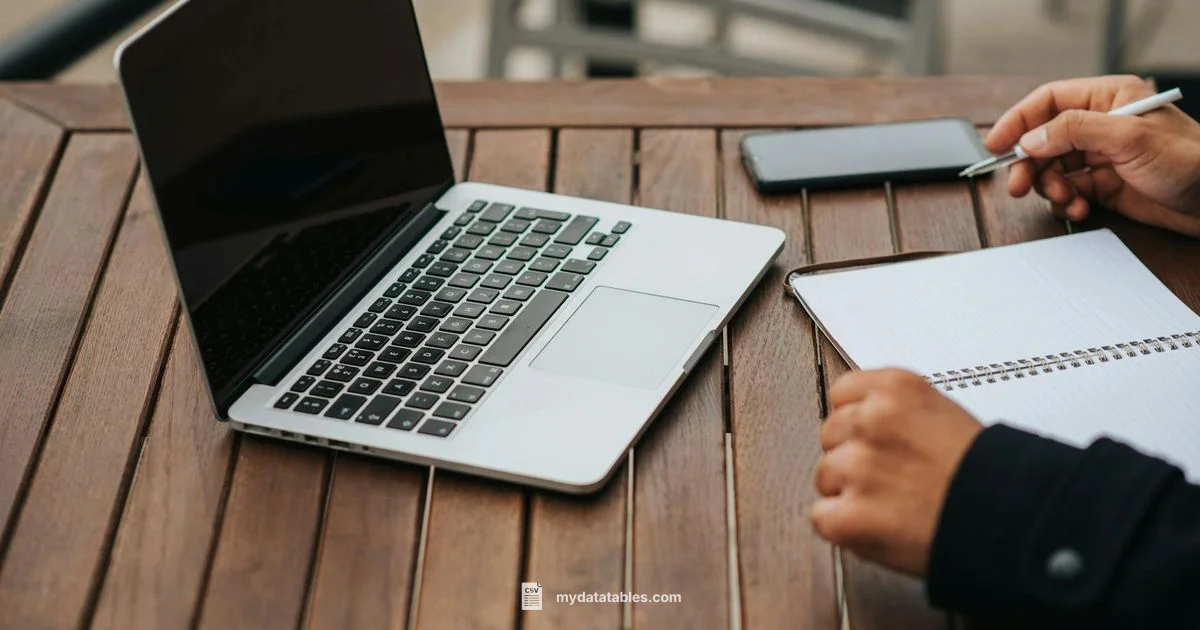 CSV Opening Guide - MyDataTables