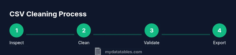 Process diagram showing a four-step CSV cleaning workflow