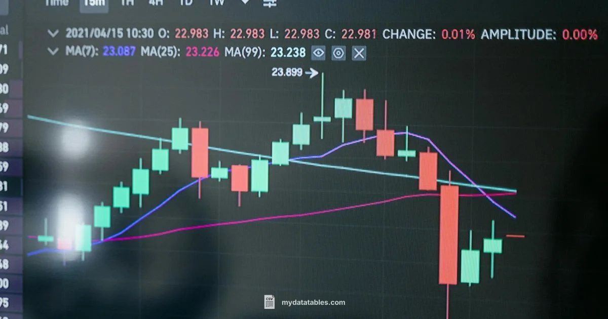 CSV 206 Review - MyDataTables