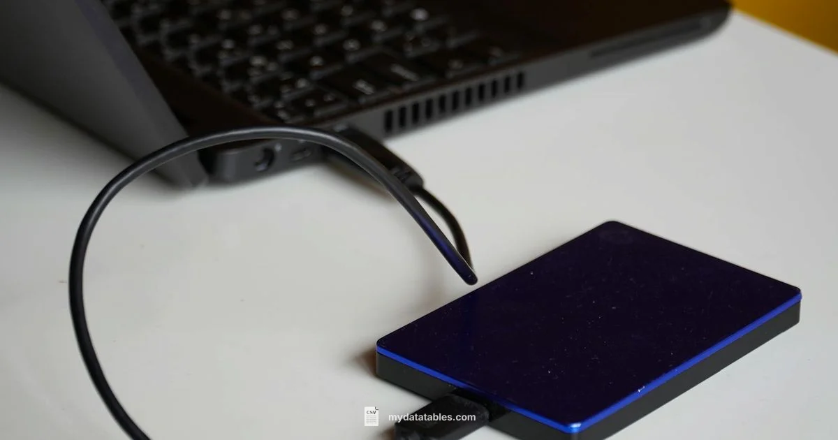 Open CSV Anywhere - MyDataTables