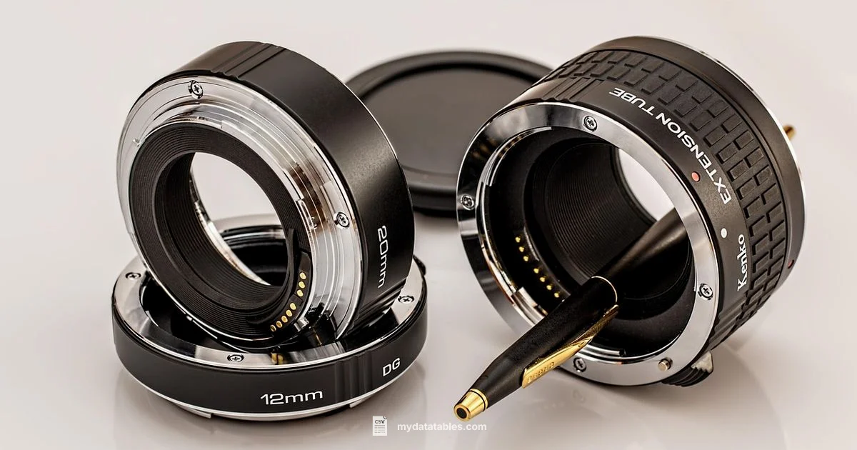 CSV Extension - MyDataTables