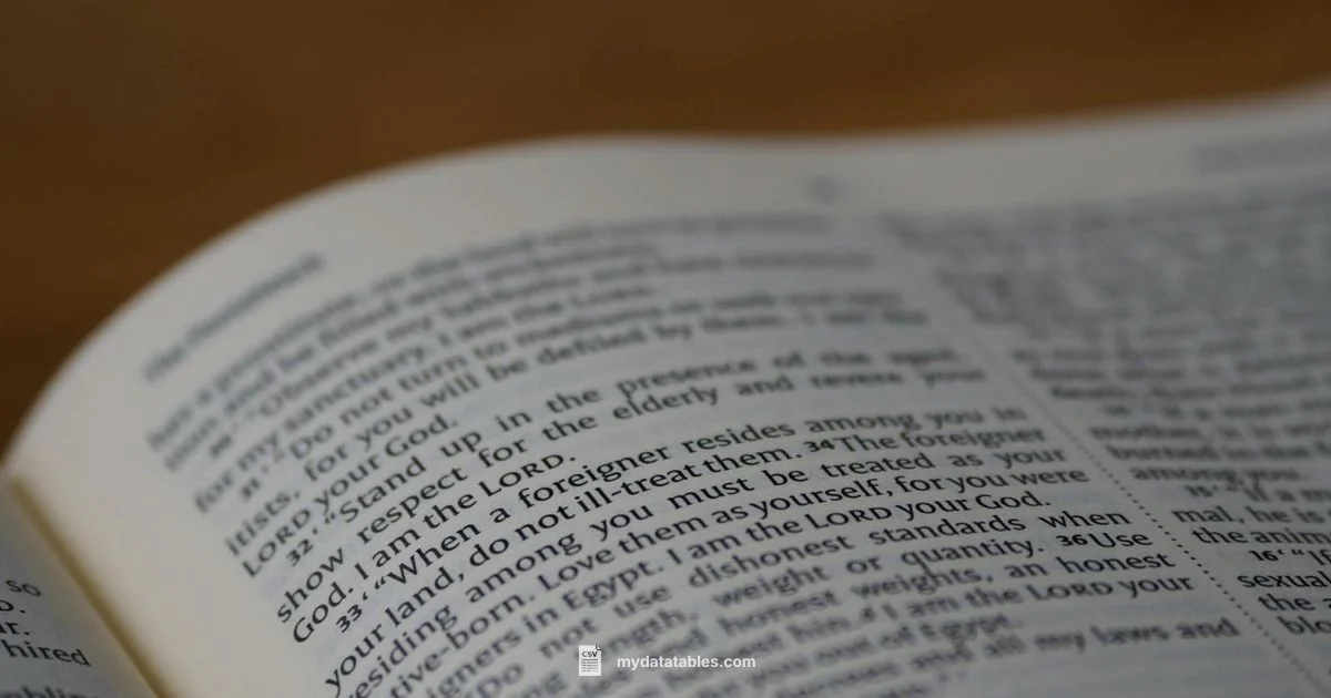 NIV vs ESV Overview - MyDataTables