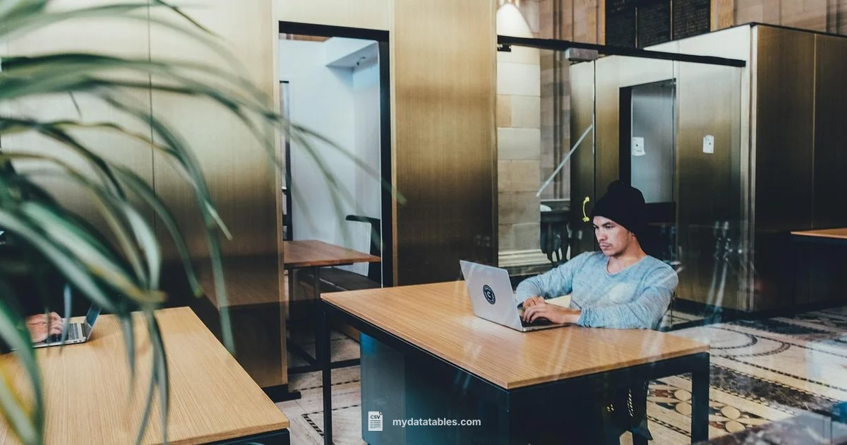 Excel to CSV Converter - MyDataTables
