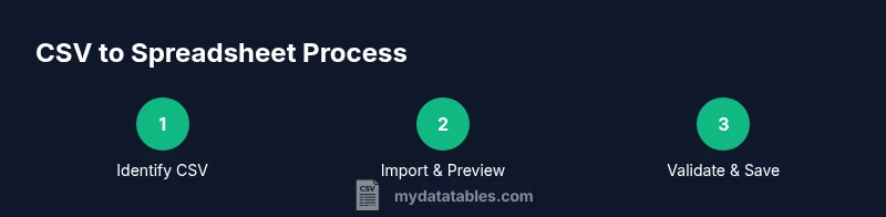 Process diagram for converting CSV to spreadsheet