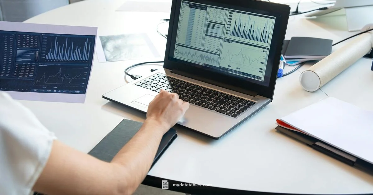CSV in Excel Fix - MyDataTables