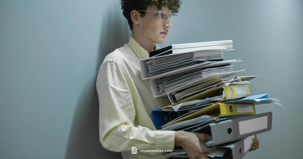 CSV Split Guide - MyDataTables