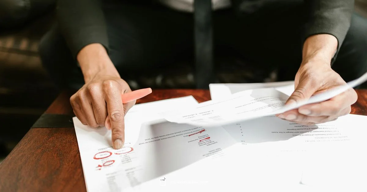 CSV vs XLS Guide - MyDataTables