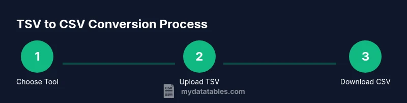 Process diagram showing TSV to CSV conversion steps