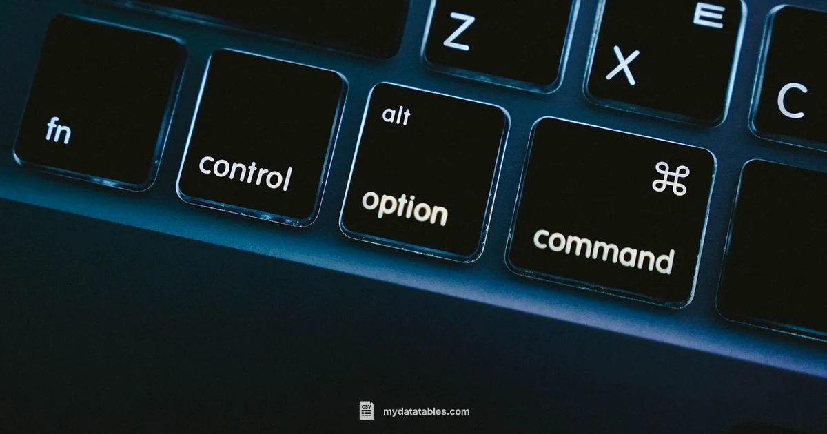 CSV on Mac Guide CSV on Mac Guide - MyDataTables