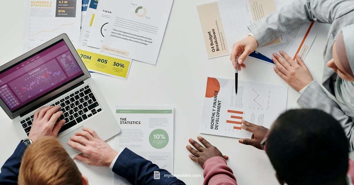 CSV vs XLSX - MyDataTables