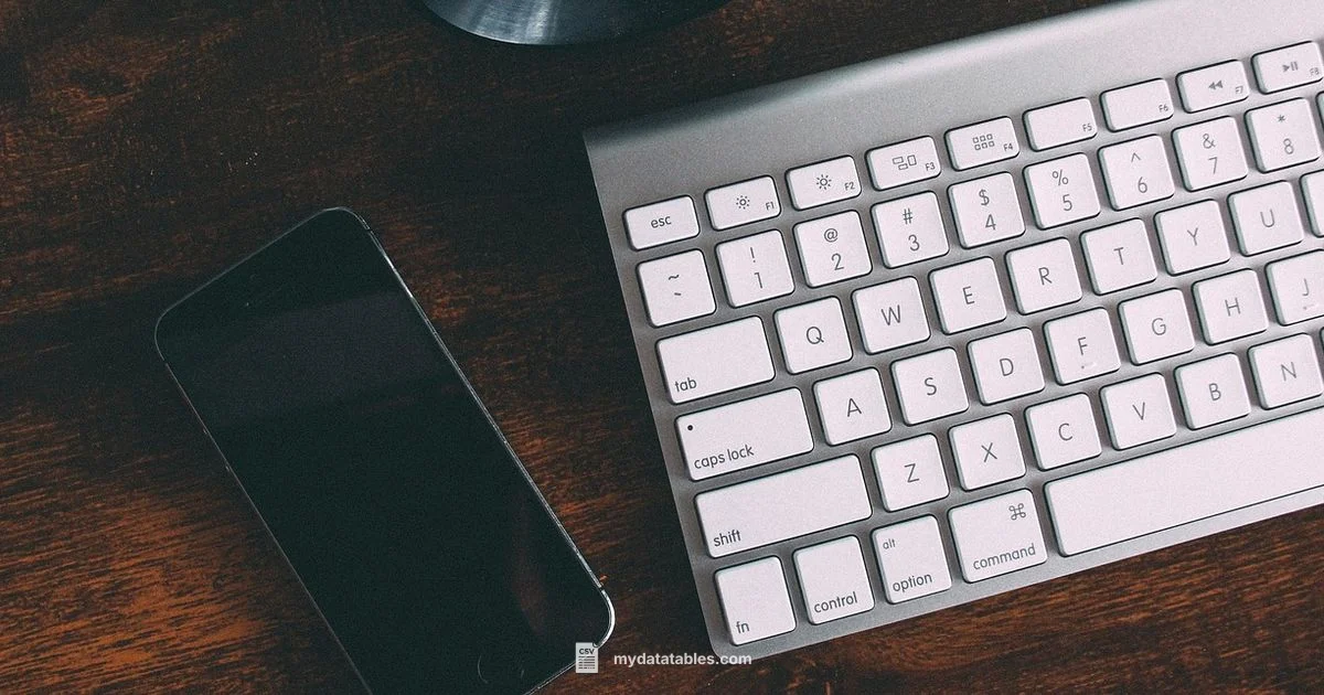 Import CSV Contacts - MyDataTables