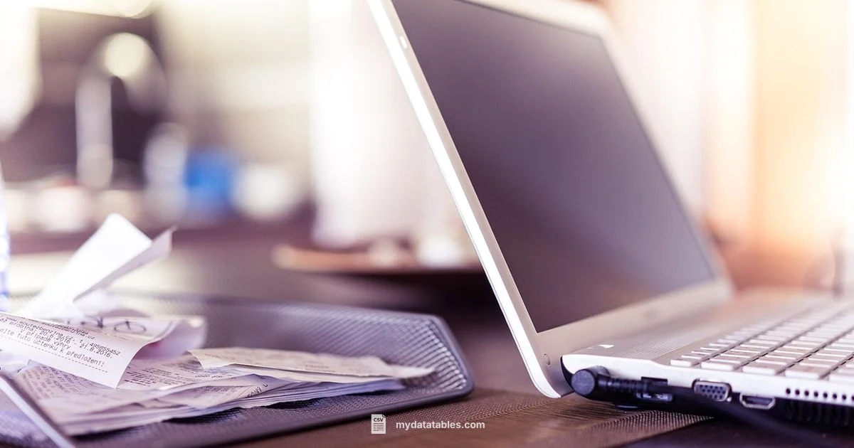 Amex CSV Tutorial - MyDataTables