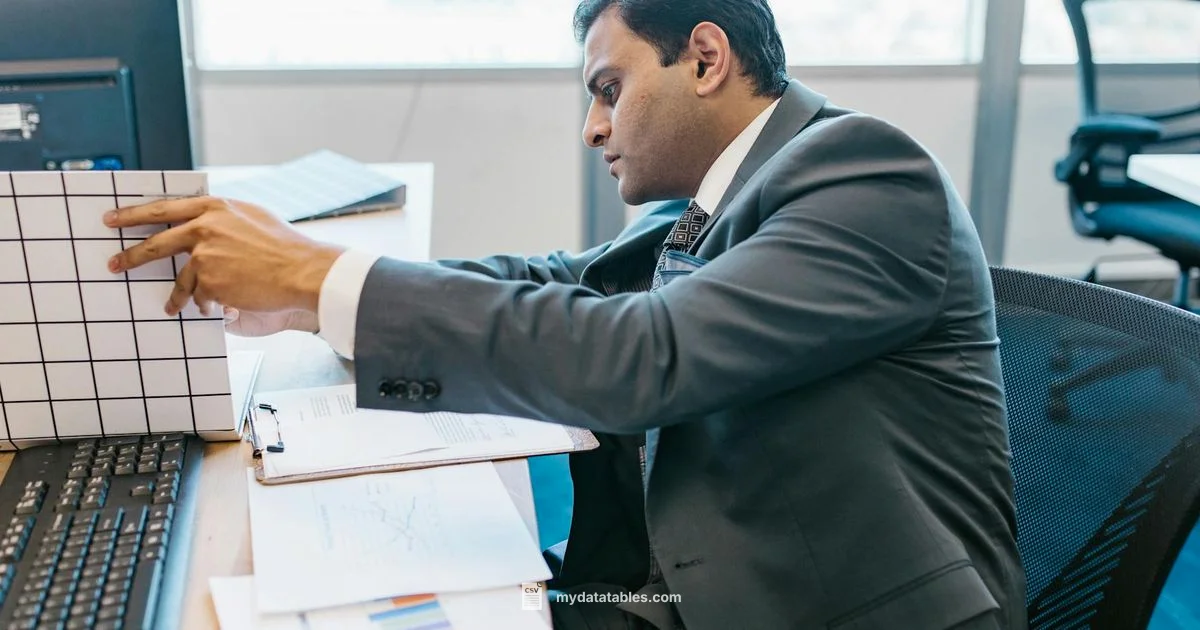 CSV to Excel Conversion - MyDataTables