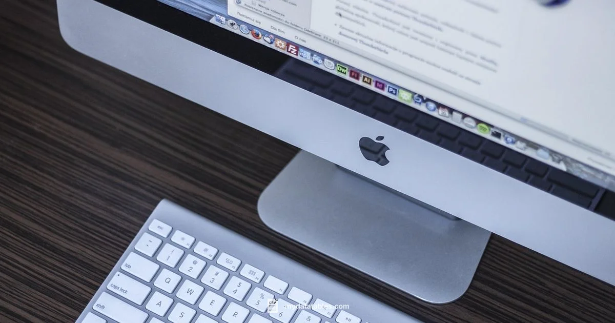 Safe CSV Practices - MyDataTables