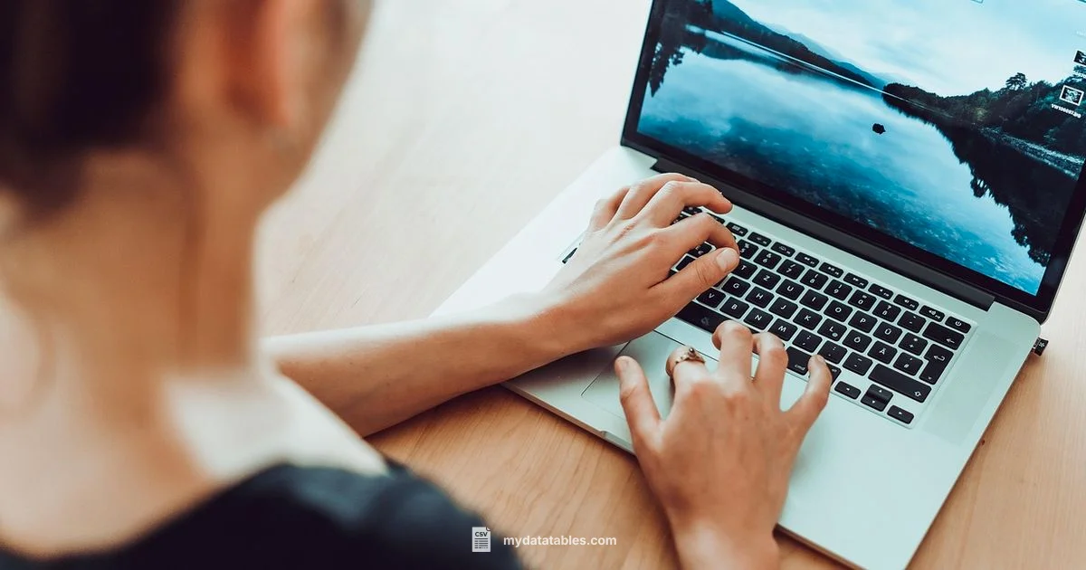 CSV and Excel Guide - MyDataTables