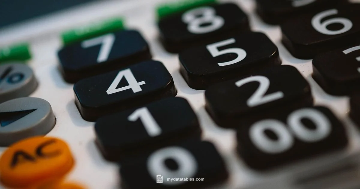 CSV vs XLSX - MyDataTables