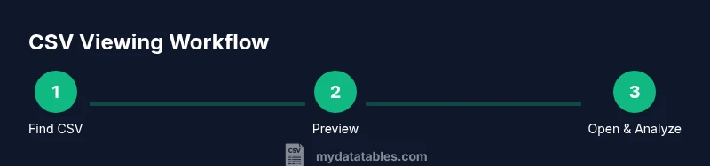 Infographic showing steps to view CSV on Mac