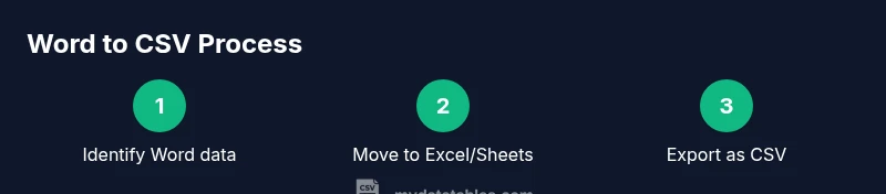 Infographic showing steps Word to CSV
