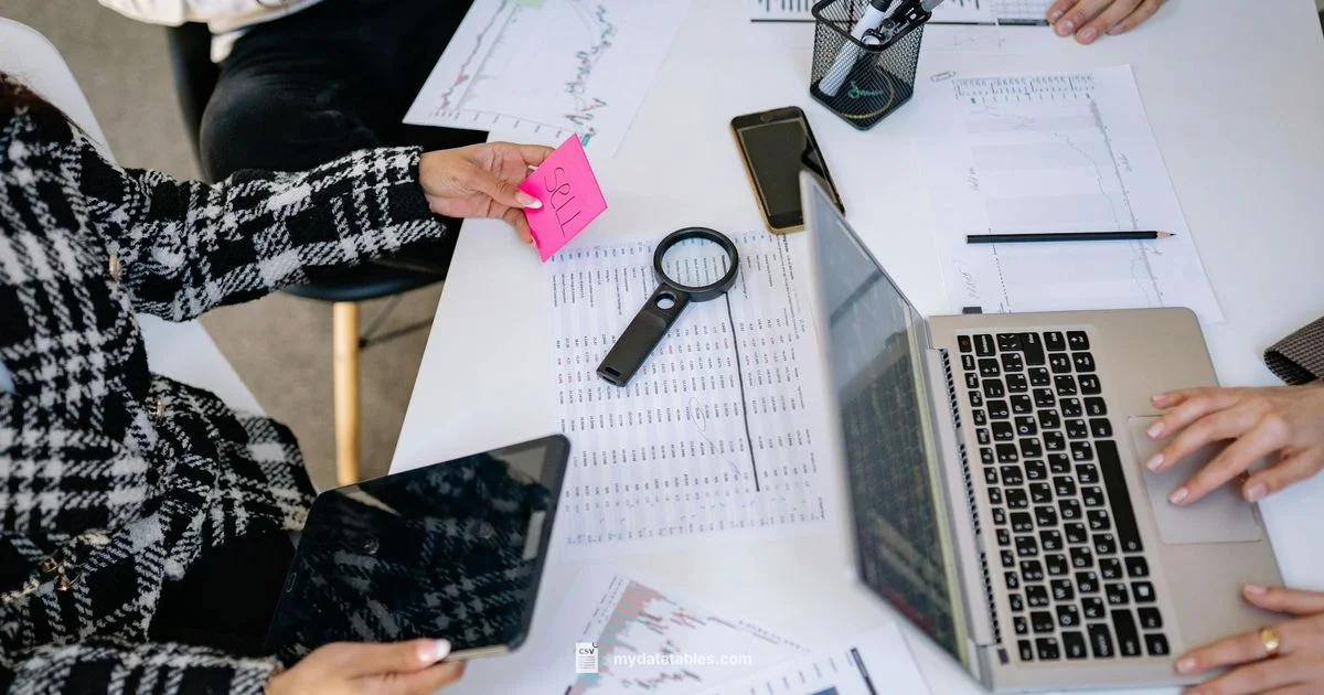 CSV Conversion Guide CSV Conversion Guide - MyDataTables