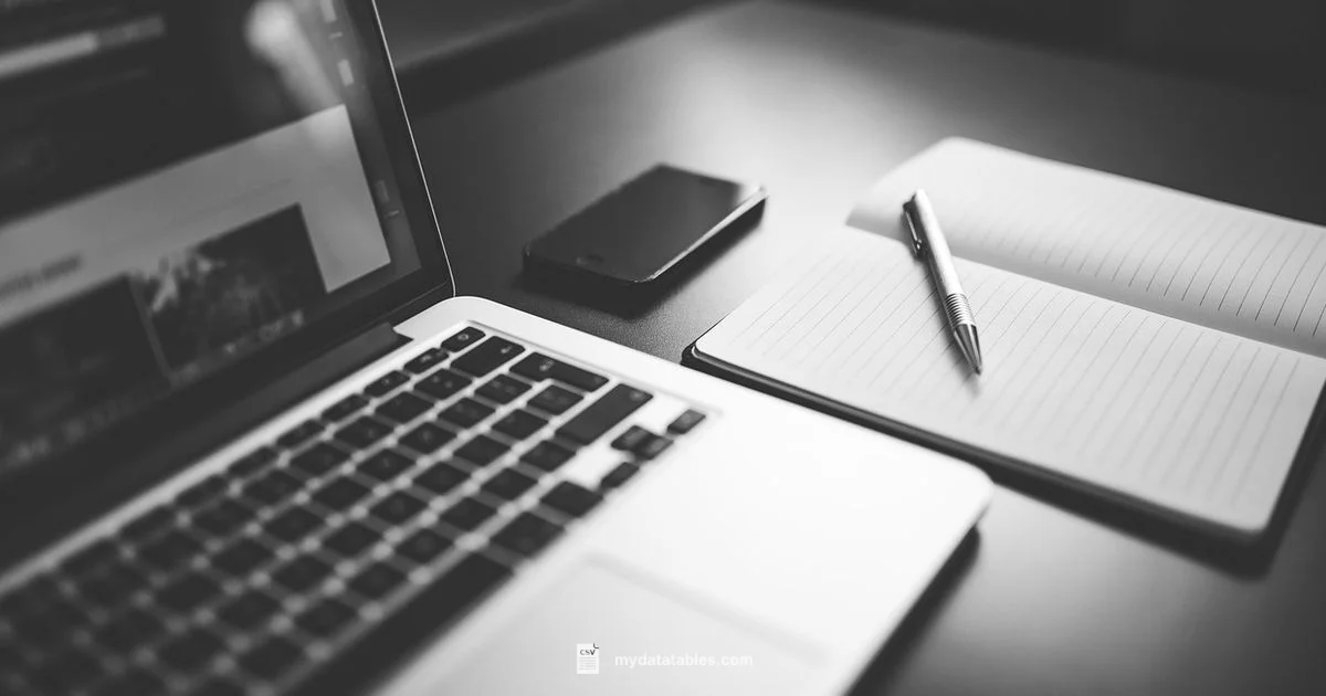 TXT to CSV Guide - MyDataTables