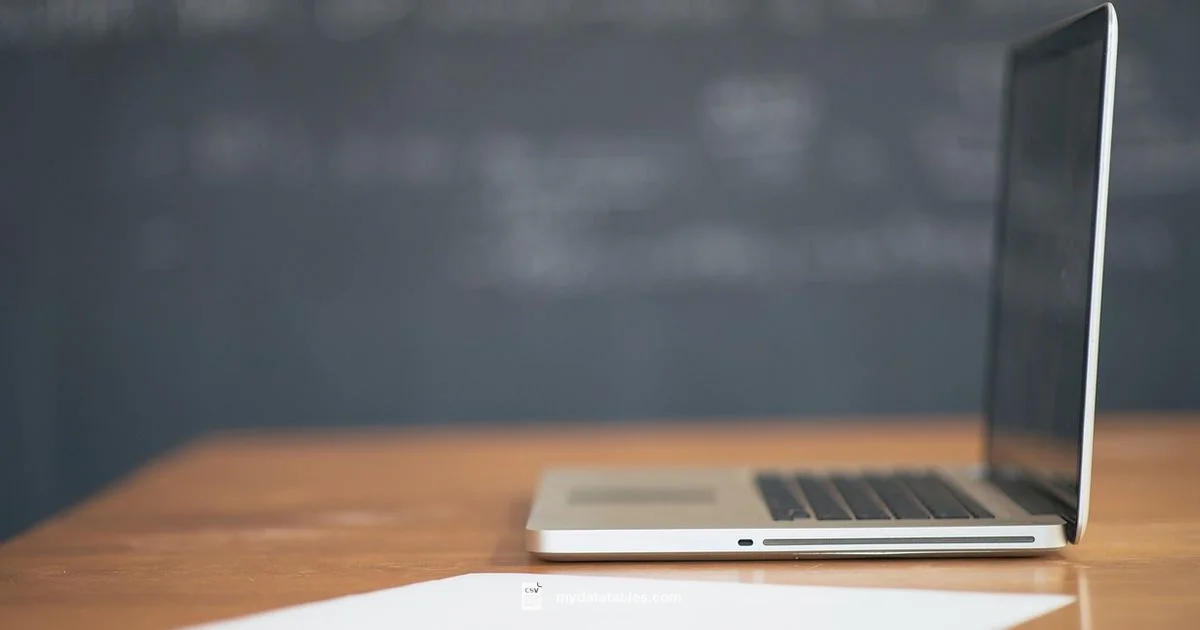 CSV vs XLSX: Head-to-Head CSV vs XLSX: Head-to-Head - MyDataTables