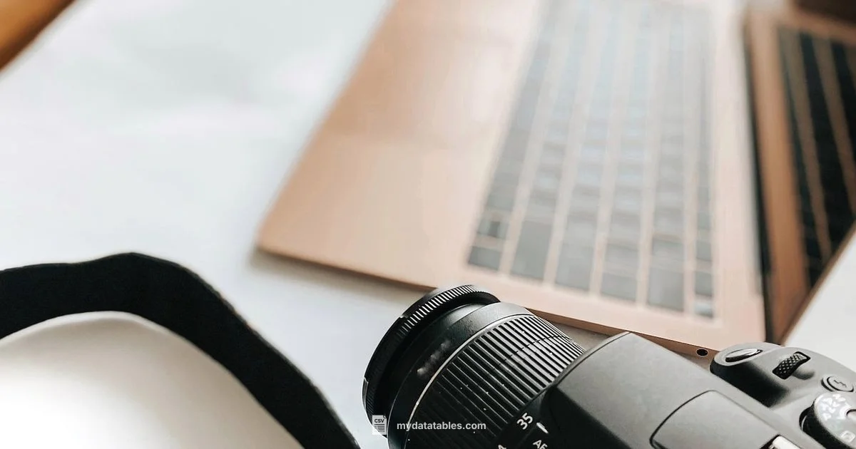 CSV Import to Excel - MyDataTables