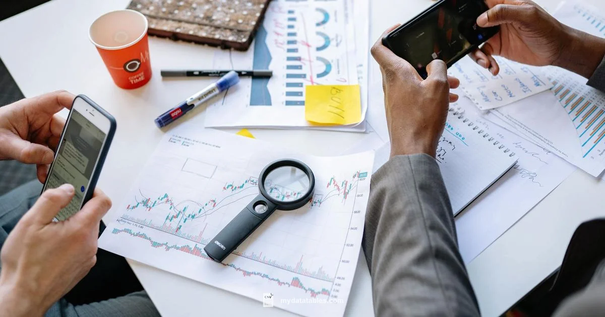 Easy CSV Guide Easy CSV Guide - MyDataTables