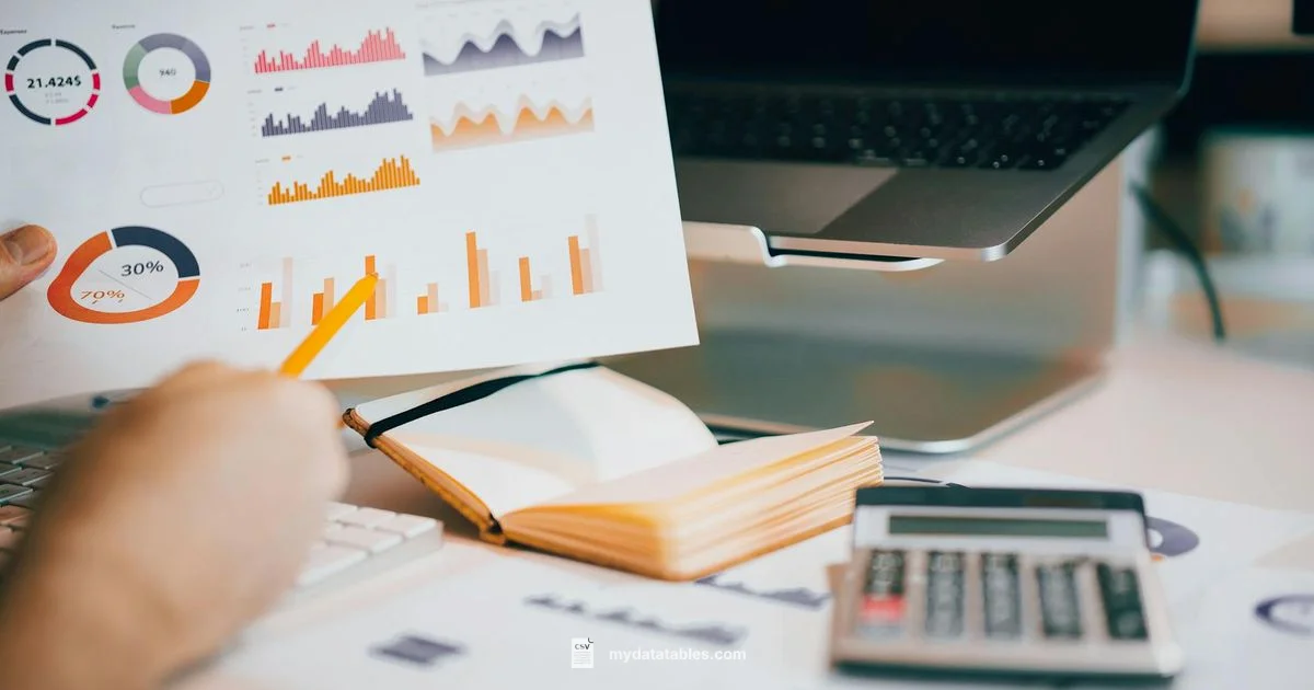 CSV vs Excel CSV vs Excel - MyDataTables