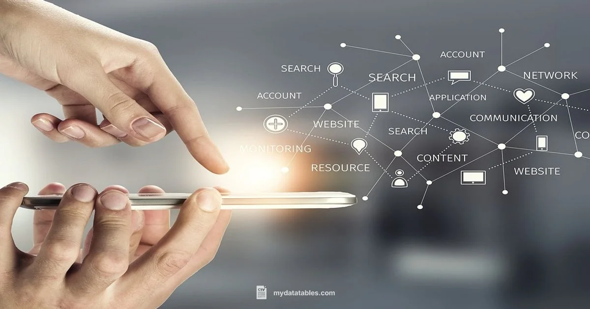 CSV Look Guide - MyDataTables