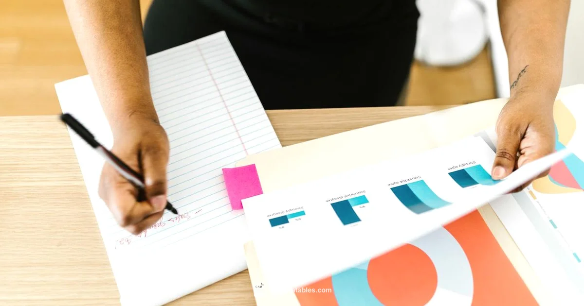 CSV Printable Guide - MyDataTables