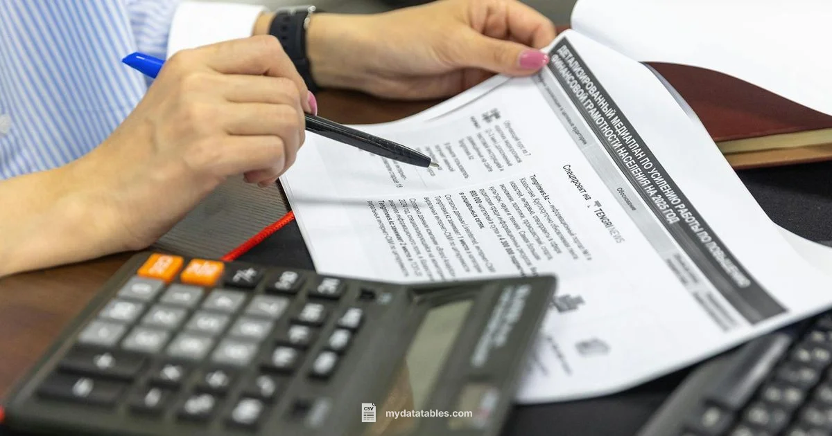 CSV vs Excel - MyDataTables