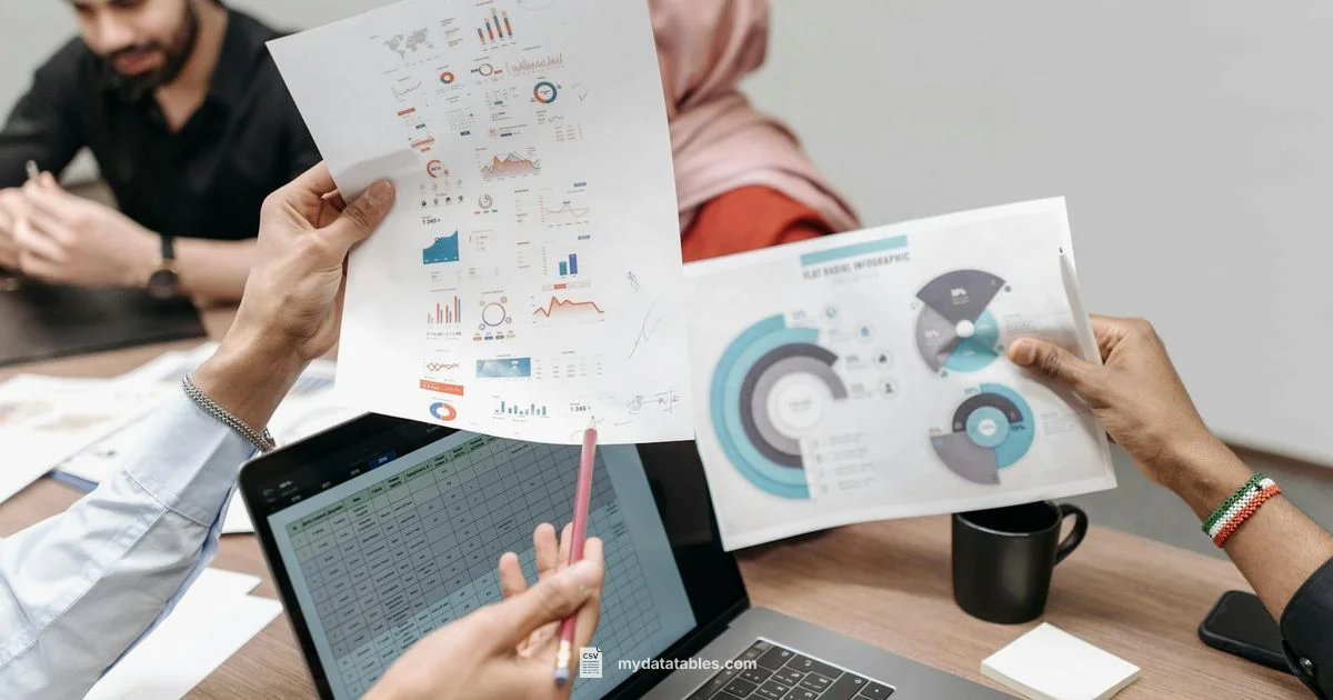 CSV vs CVV: Key Difference - MyDataTables