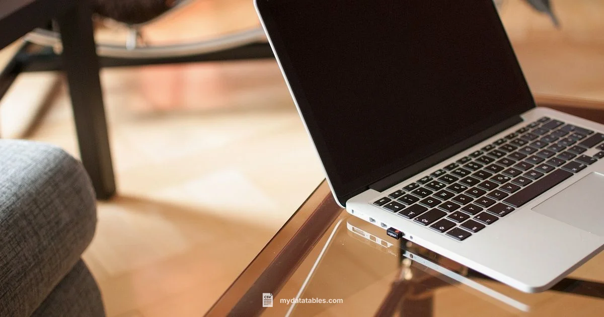 CSV Comments Guide CSV Comments Guide - MyDataTables