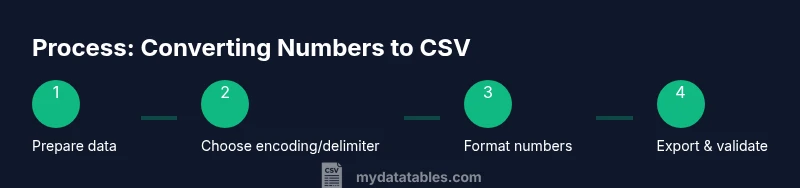 Process diagram showing steps to convert numbers to CSV