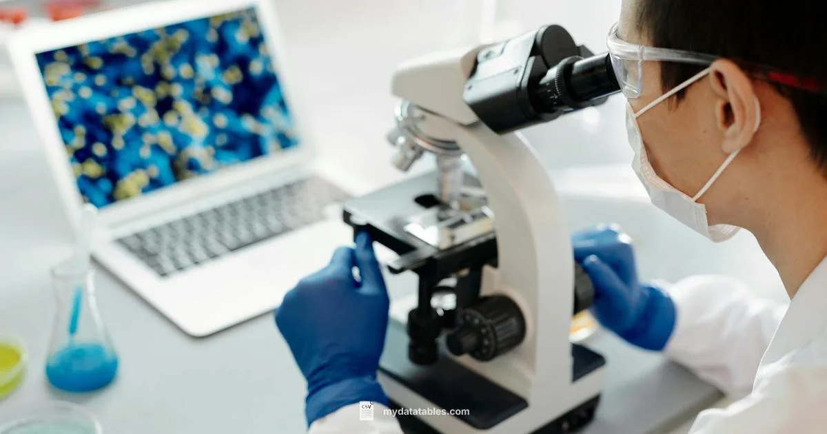 CSV in Excel - MyDataTables