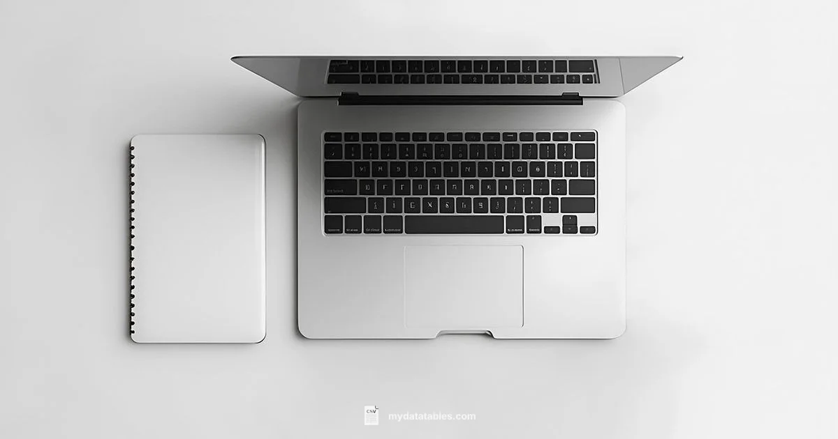 CSV Reading Essentials CSV Reading Essentials - MyDataTables