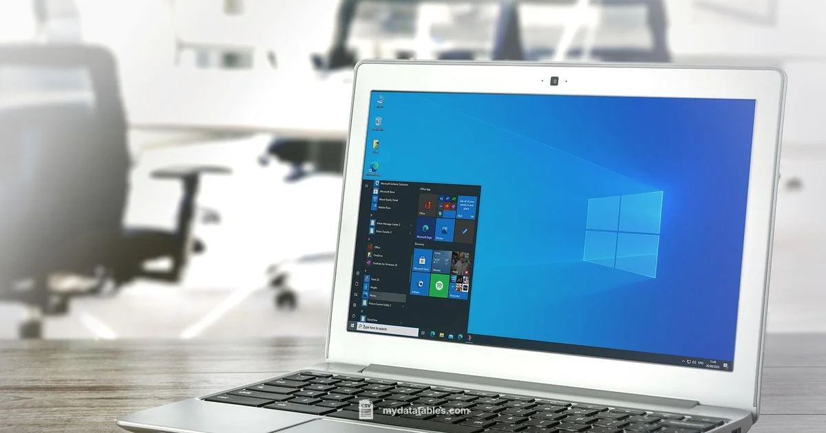 CSV to Excel Guide - MyDataTables