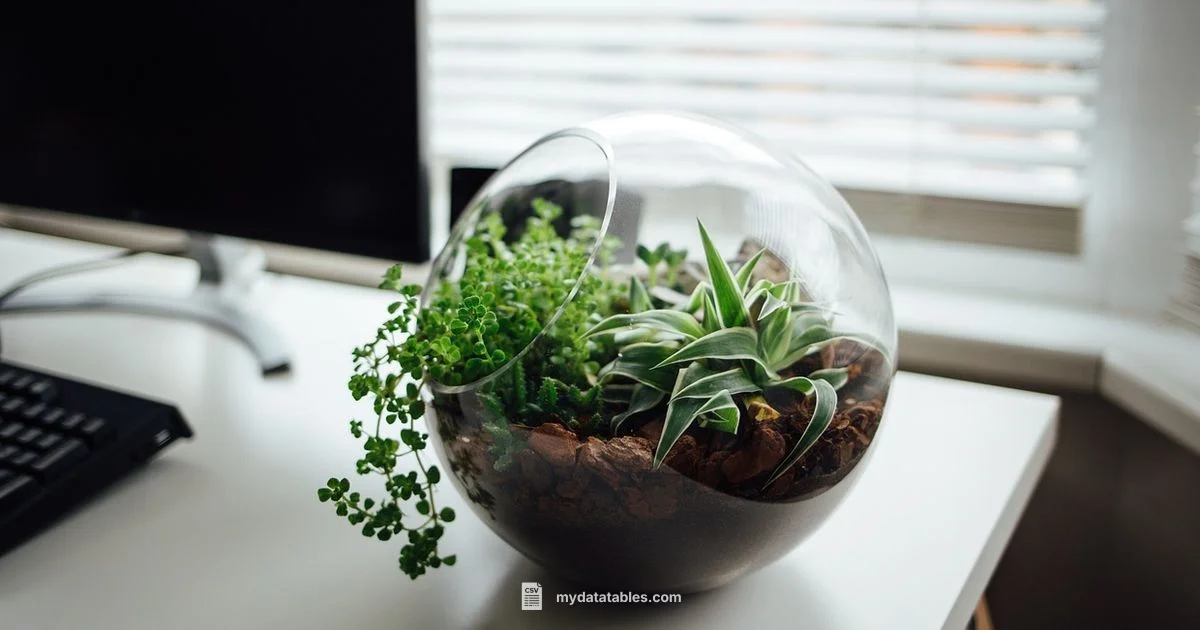 CSV Import in Sheets - MyDataTables