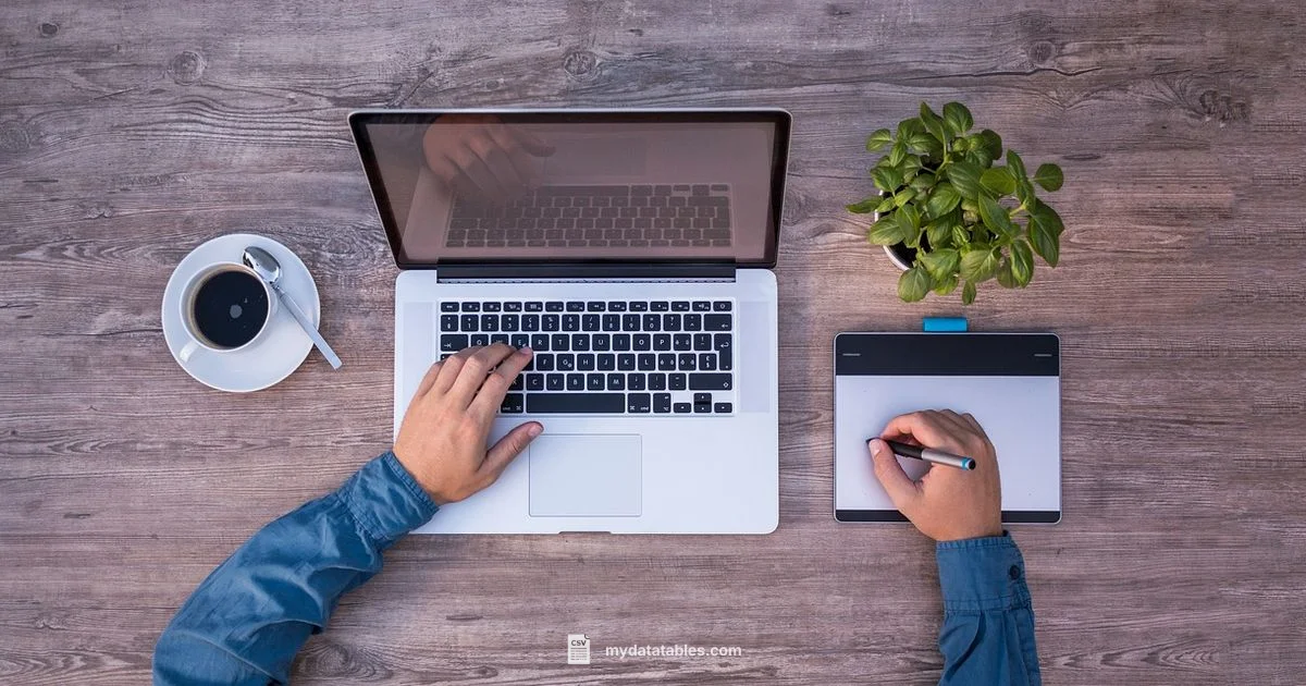 CSV to IIF Converter - MyDataTables