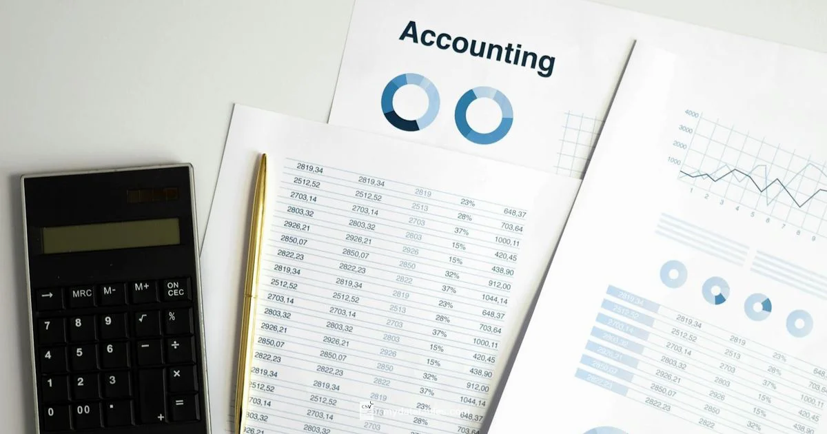 CSV Fundamentals - MyDataTables