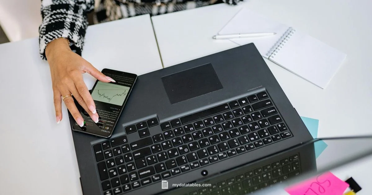 CSV File Download Guide - MyDataTables