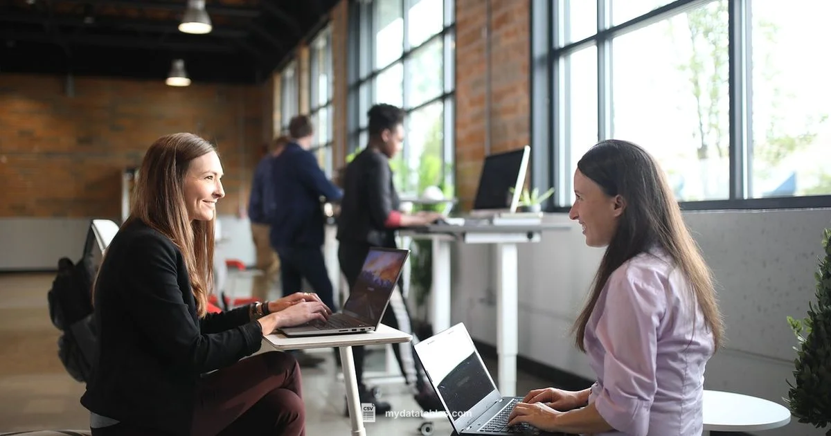 Open CSV in Excel - MyDataTables