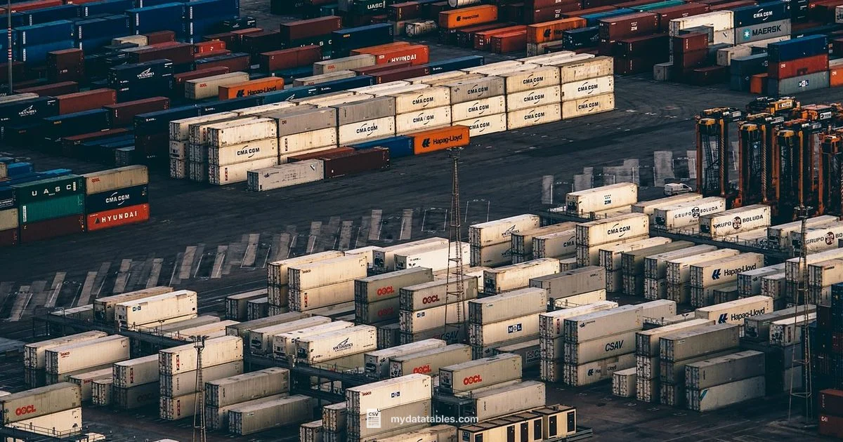 CSV Export Guide - MyDataTables