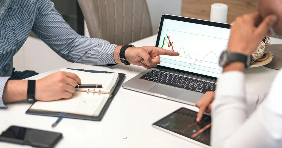 CSV Content Type Guide - MyDataTables