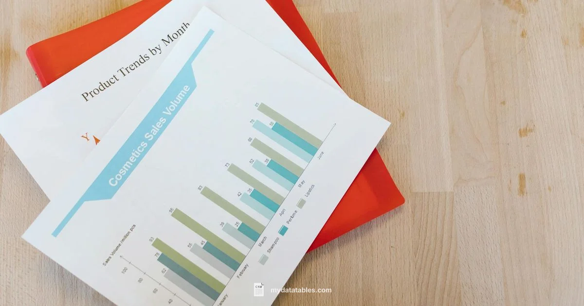 CSV to Excel Converter - MyDataTables