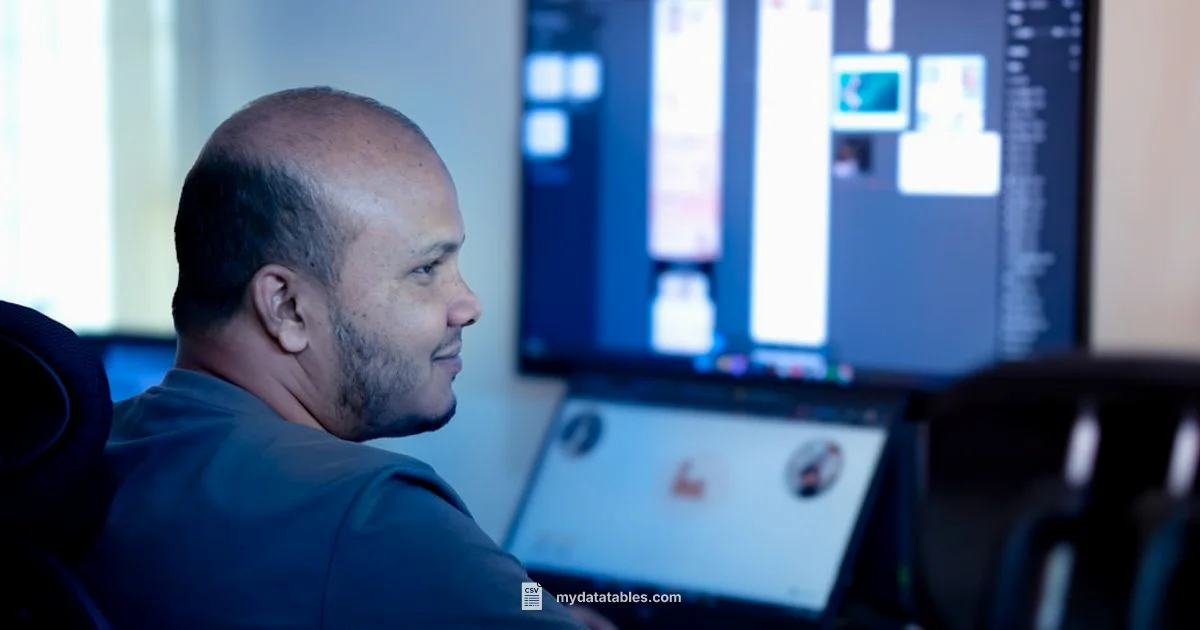 CSV Delimiter Guide - MyDataTables